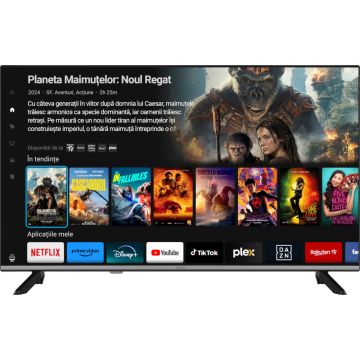 Televizor Horizon Smart LED 43HL6360F/D, 108 cm, Full HD, Clasa E